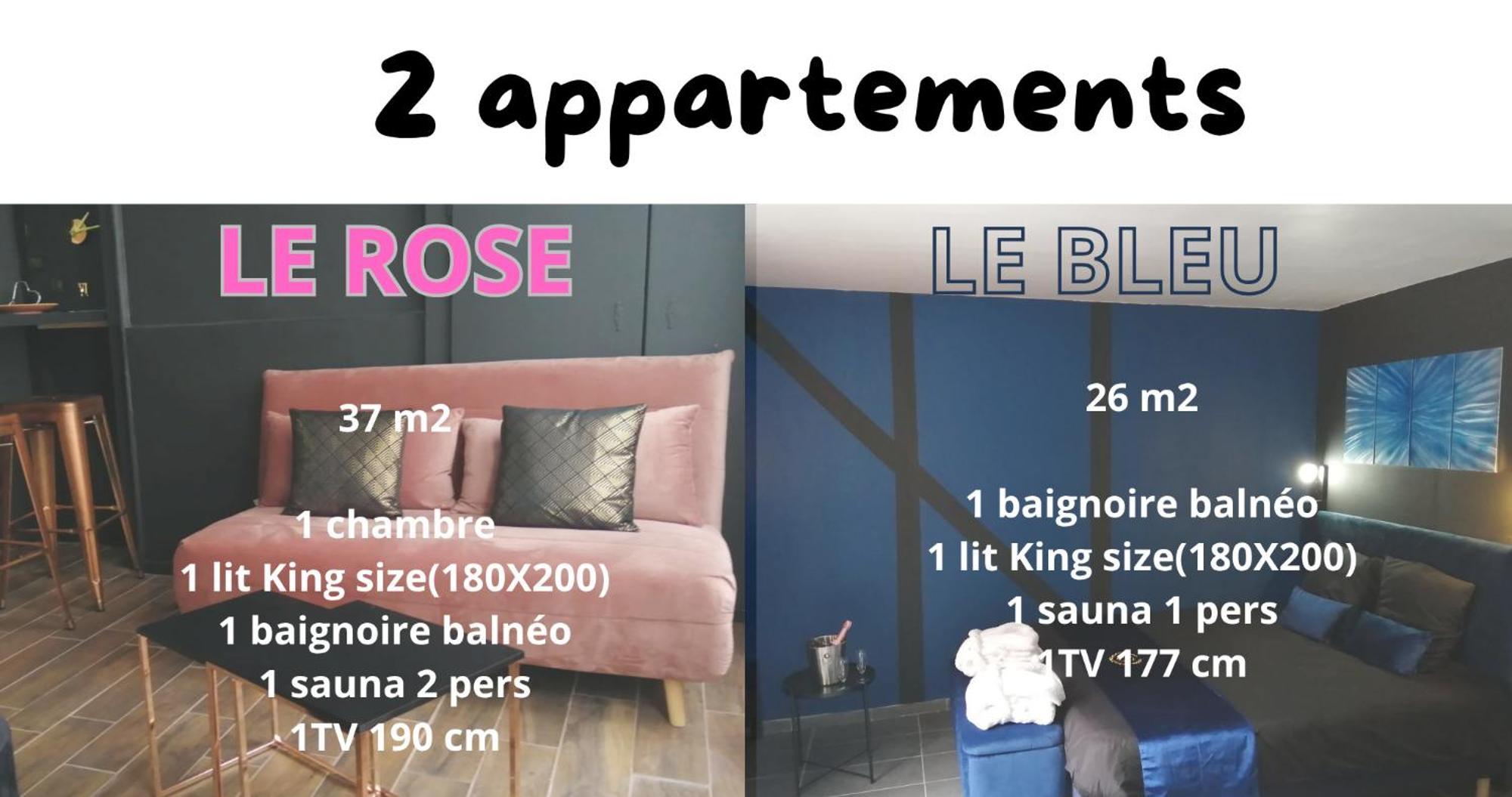 Apartment Avec Balneo Et Sauna Privatif - Centre Troyes